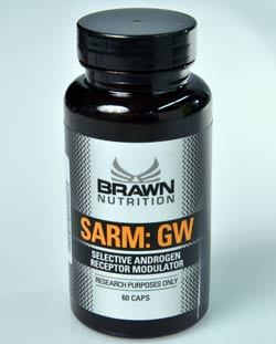 Verpackung "SARM GW"