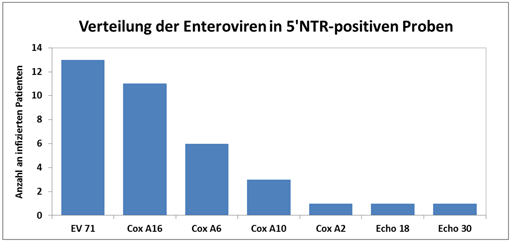 Balkendiagramm: Verteilung der Enteroviren in 5'NTR-positiven Proben
