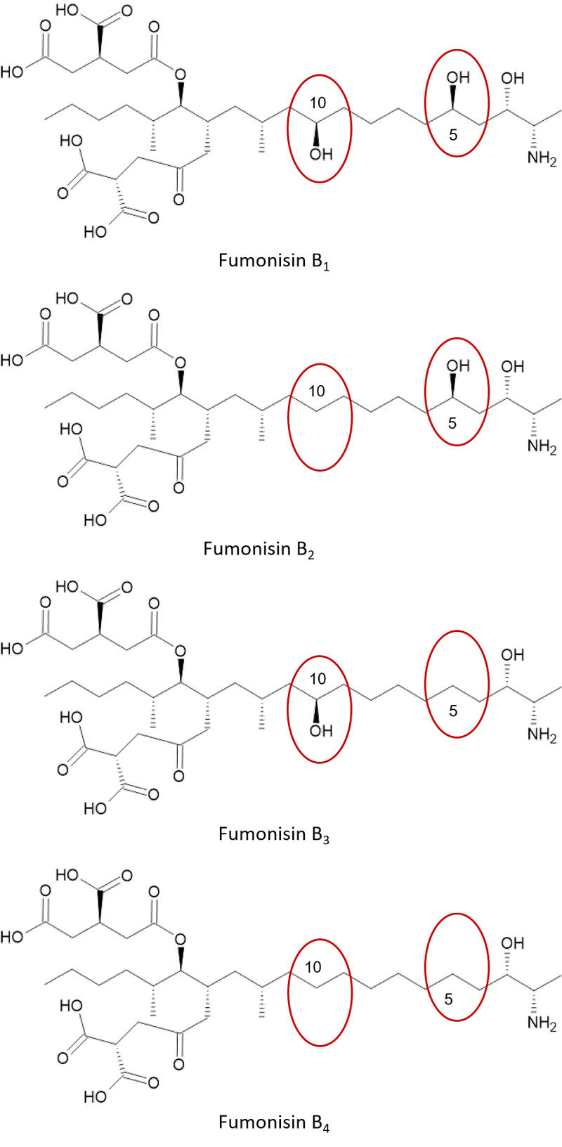 Strukturformeln der rinzelnen Fumosin-Vertreter mit roter Umrandung der unterschiedlichen Gruppen