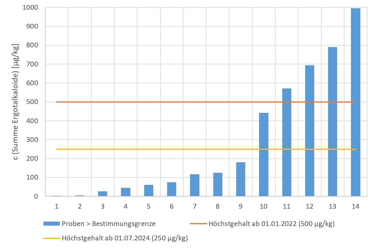 In Abbildung 2 sind die Gehalte der 14 Proben dargestellt, die oberhalb der Bestimmungsgrenze von 2,0 µg/kg lagen. Eingezeichnet sind der momentane Höchstgehalt von 500 µg/kg für Roggen und Roggenmahlerzeugnisse und der ab 01. Juli 2024 niedrigere Höchstgehalt von 250 µg/kg. Vier Proben lagen oberhalb des Höchstgehalts von 500 µg/kg, eine Probe lag bei fast 1.000 µg/kg, die anderen drei lagen jeweils knapp unter 800, 700 und 600 µg/kg. Der Gehalt der einen zusätzlichen Probe über dem zukünftig niedrigeren Höchstgehalt lag bei etwa 450 µg/kg. Drei Proben wiesen Gehalte zwischen 200 und 100 µg/kg auf, die restlichen sechs positiven Proben lagen bei Gehalten unter 100 µg/kg.