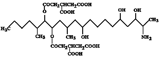 Lebensmittel Fumonisine