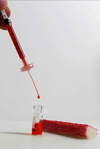Das Foto zeigt einen Surimi-Stick sowie ein Probengläschen, in welches eine rote Farbstoff-Lösung aus einer Spritze tropft.