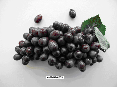 Die Abbildung zeigt eine Weintraube mit grünen Blättern und dunkelroten Beeren, einzelne Beeren sind abgelöst.