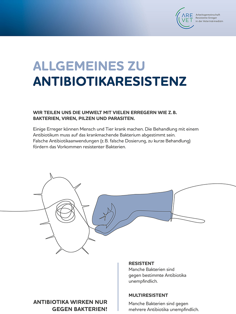 Das Poster „Allgemeines zu Antibiotikaresistenz“ der Wanderausstellung erklärt die Grundlagen zur Entstehung von Antibiotikaresistenzen und die Begrifflichkeiten. Was bedeutet resistent? Warum sind Resistenzen ein Problem?