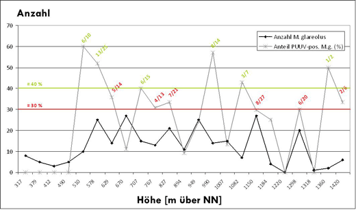 Übersicht über Nachweis von Hantaviren in Rötelmäusen entlang des Höhengradienten im Jahr 2010.