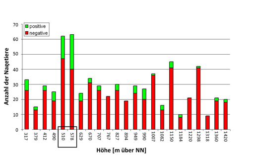Übersicht über Nachweis von Rickettsien in Nagetieren entlang des Höhengradienten im Jahr 2010