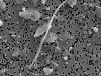 Schwarzweißfotografieeiner Asbestfaser (Chyrositil) und Staubpartikel auf einem Filter