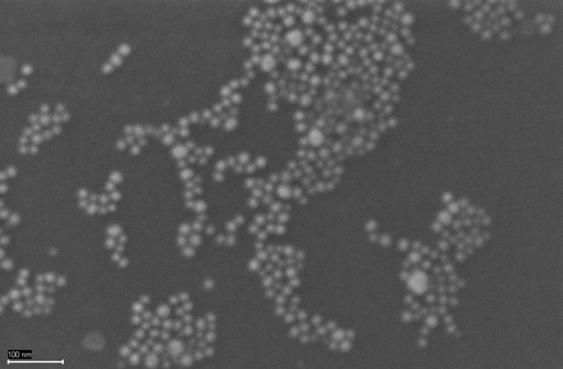 Mikroskopische Aufnahme von Nanosilberpartikeln