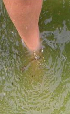 Foto eines Fußes im Wasser