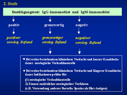 Stufendiagnostik