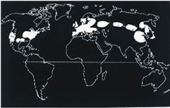 Weltkarte: Verbreitung der Lyme Borreliose; Nordamerika, Europa und Asien sind betroffen