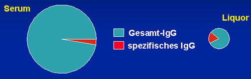 Tortendiagramme: Im Serum ist das Gesamt lgG etwa 97 % und im Liqour etwa 85 %.