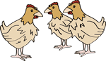 Hühner