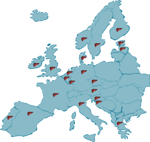 Bildhafte Darstellung des Ausbruchsgeschehens in Europa.