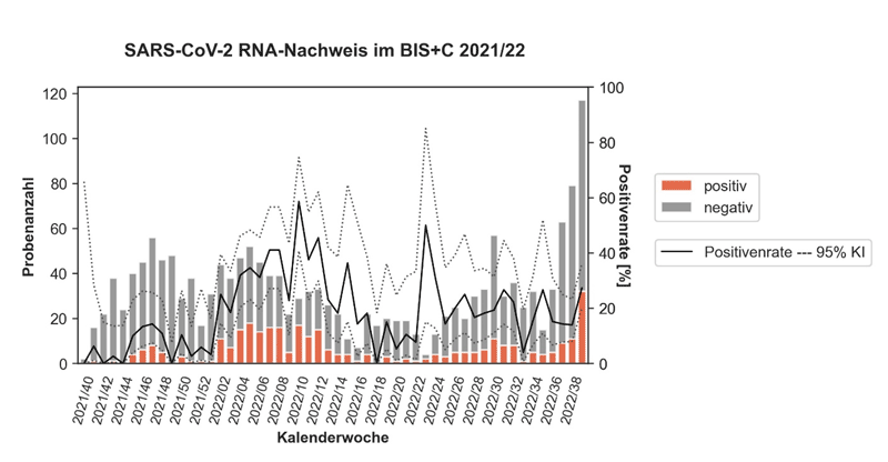 Darstellung der SARS-CoV-2 RNA-Nachweis im BIS+C als Balkendiagramm