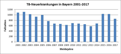 In einem Säulendiagramm sind die gemeldeten Tuberkulose-Neuerkrankungen in Bayern für den Zeitraum 2001 bis 2017 dargestellt. Nach einem Rückgang der Fallzahlen in den Jahren 2003-2007 von ca. 1100 auf unter 700 Fälle und einem anschließenden Plateau von 2007 bis 2014 mit geringen jährlichen Schwankungen zwischen  ca. 600 bis 700  Meldungen liegen die Fallzahlen für die Jahre 2015 und 2016 mit jeweils über 1000 Fällen erkennbar höher ,ungefähr auf dem Niveau von 2003.  Im Jahr 2017 ist mit 856 Neuerkrankungen wieder ein Rückgang zu verzeichnen.