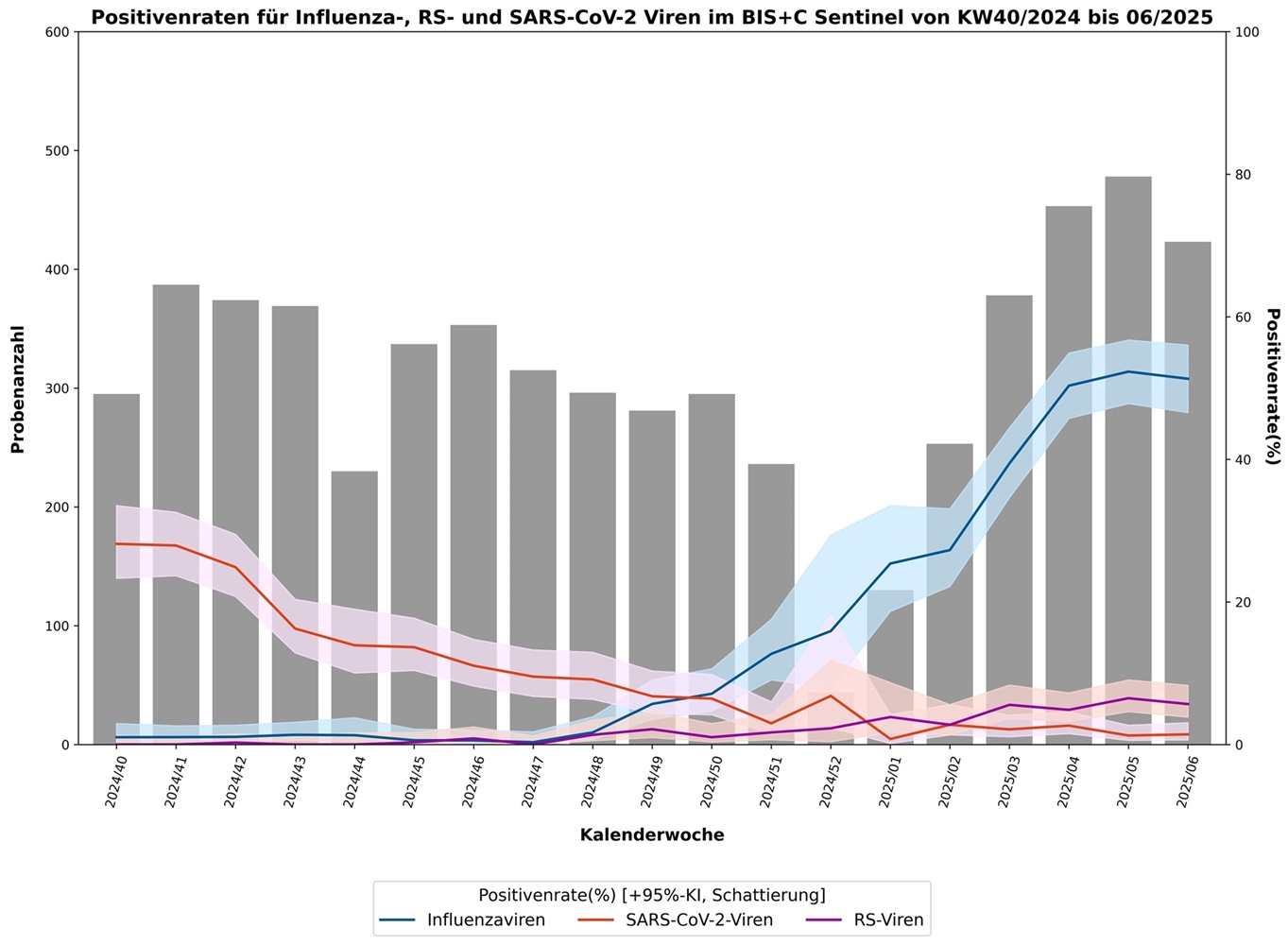 Abbildung 1 stellt die Positivenraten für Influenza-, SARS-CoV-2 und Respiratorische Synzytial-Viren (RSV) der erhaltenen Nasen- bzw. Rachenabstrichproben im BIS+C Sentinel von KW 40/2024 bis KW 6/2025 dar. Es zeigt sich, dass SARS-CoV-2 das virale Infektionsgeschehen der drei Erreger bis KW 40/2024 dominierte und seitdem die Positivenrate stetig sinkt. Seit KW 01/2025 wurde nach Definition des Robert Koch-Instituts (RKI) die Grippewelle erklärt, welche dieses Jahr vor allem durch die beiden Erreger A(H1N1)pdm09 sowie Influenza B hervorgerufen wird. Nach RKI-Definition trat ab KW 03/2025 im BIS+C Sentinel zudem die RSV-Welle in Bayern auf, welche vor allem die 0 bis 4-Jährigen betraf.