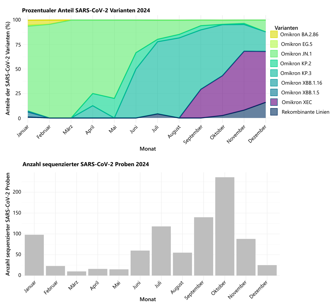 Abbildung 4 zeigt im oberen Abschnitt den prozentualen Verlauf der SARS-CoV-2 Viruslinien über den Jahresverlauf 2024 hinweg. Zu Jahresbeginn dominierte VOC Omikron Sublinie JN.1. Diese wurde von März bis Juni durch die aus ihr hervorgegangenen Sublinie KP.3 als dominierende Linie abgelöst. Bis August war KP.3 vorherrschende Linie und wurde dann durch rekombinante Linie XEC abgelöst, die bis Jahresende zur dominanten Linie wurde. Im unteren Abschnitt werden die Anzahl der sequenzierten SARS-CoV-2 positiven Patientenproben des BIS+C Sentinels pro Monat des Jahres 2024 dargestellt, die sich im Jahresverlauf durch die Anzahl der Erkrankungsfälle und der eingesandten Proben ändert.