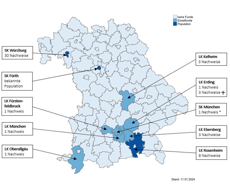 Bayernkarte mit einzelnen in drei Blaustufen eingefärbten Landkreisen. Je nach Farbintensität: keine Funde oder Einzelfunde oder Pupulation
