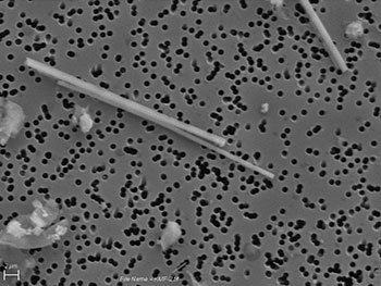 Schwarzweißfotografie einer künstlichen Mineralfaser auf einem Filter nach Sammlung einer Luftprobe