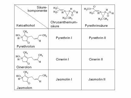 Chemische Darstellungen des Pyrethrums