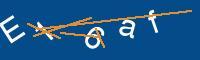 Captcha eingeben