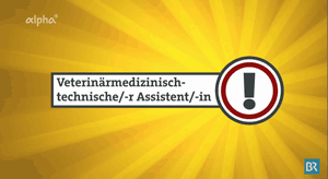 Screenshot des Filmbeitrags des Bayerischen Rundfunks