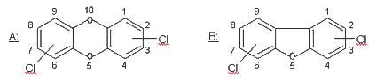 Chemischer Aufbau von polychlorierten Debenzo-p-dioxinen (A) und Dibenzofuranen (B)