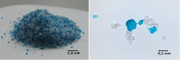 Die Abbildung zeigt blaue Mikroplatik, welche aus einem Peelingprodukt isoliert wurde, sowohl in einer makroskopischen als auch in einer mikroskopischen Aufnahme.