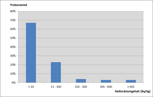 Das Säulendiagramm der Abbildung zeigt die Radiocäsiumgehalte in Wildschweinfleisch aus dem Handel des Jahres 2016. Im Jahr 2016 weisen 67 % der Proben Messwerte unter 10 Bq/kg auf, 23 % der Messwerte liegen zwischen 11 und 100 Bq/kg, bei 4 % der Messwerte ist ein Radiocäsiumgehalt von 101 bis 300 Bq/kg gemessen worden. 3 % der Radiocäsiumgehalte weisen eine Radiocäsiumaktivität von 301 bis 600 Bq/kg auf. Im Berichtsjahr 2016 überschritten lediglich 3 % der Wildschweinproben aus dem Handel den EU-Grenzwert von 600 Bq/kg.
