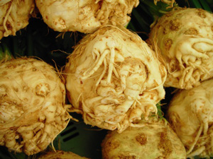 Foto von Sellerie-Knollen