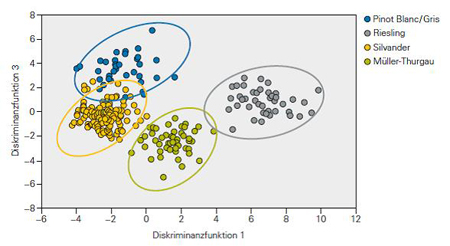 Die Abbildung  zeigt anhand eines Streudiagramms, wie sich die mittels Protonen-Kernresonanzspektroskopie und Mustererkennungsverfahren untersuchten Weine hinsichtlich der Rebsorte unterscheiden lassen. Die Modellproben der vier Gruppen „Silvaner“, „Müller-Thurgau“, „Riesling“ und „Pinot Blanc/Gris“ ordnen sich in der Grafik in vier gut voneinander getrennten Clustern an. 
