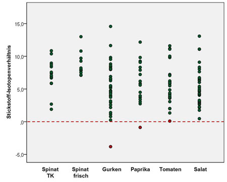 In der Abbildung  sind die Stickstoff-Isotopenverhältnisse von ökologisch erzeugtem Gemüse in Form eines Streudiagramms dargestellt. In der X-Achse sind die Gemüsearten einzeln aufgeführt. Es sind Spinat TK (tiefgefrorener Spinat), Spinat frisch, Gurken, Paprika, Tomaten und Salat. Die Y-Achse ist mit Stickstoff-Isotopenverhältnis bezeichnet und hat eine Skalierung von -5,0 bis +15,0. Jede untersuchte Probe ist als Punkt entsprechend ihrem bestimmten Stickstoff-Isotopenverhältnis und ihrer Gemüseart dargestellt. In der Y-Achse ist bei dem Wert 0 eine waagerechte gestrichelte rote Linie eingezeichnet. Stickstoff-Isotopenverhältnisse, die kleiner sind als 0 weisen auf die Verwendung anorganischer Dünger hin. Bei einer Probe Tomaten, einer Paprika und einer Gurke wurde jeweils ein Stickstoff-Isotopenverhältnis von 0 bzw. kleiner als 0 festgestellt. Diese Proben sind als rote Punkte dargestellt.