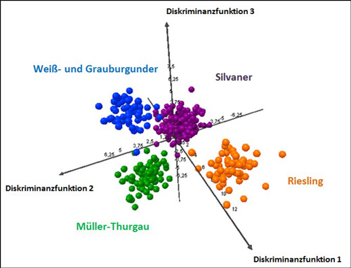 Abbildung 3 zeigt den D-Scoreplot der Diskriminanzfunktionen 1, 2 und 3 der 1H-NMR Daten voneinen. Vier-Gruppen- Differenzierungs-Modell: Silvaner vs. Riesling vs. Müller-Thurgau vs. Grau- und Weißburgunder