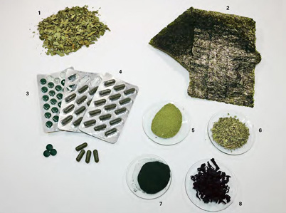 Das Foto zeigt einen Überblick der im Rahmen des Schwerpunktprogramms „Superfood“ untersuchten Moringaproben (grünes Blattpulver, grüne Kapseln) und Algenproben (grüne Nori-Algenblätter, dunkelgrünes Chlorella-Pulver und grüne, getrocknete Wakame-Algen).