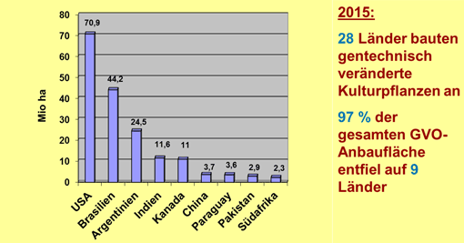 Das Balkendiagramm zeigt die Gesamtanbauflächen für gentechnisch veränderte Kulturpflanzen bezogen auf das Anbauland. Neun Länder bauen zusammen 97 Prozent der Gesamtanbaufläche an. Die USA bauen mit Abstand am meisten an, gefolgt von Brasilien, Argentinien, Indien, Kanada, China, Paraguay, Pakistan und Südafrika.