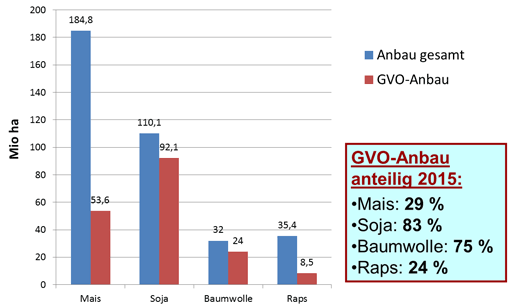 Das Balkendiagramm zeigt den Anteil der Fläche gentechnisch veränderter Kulturpflanzen bezogen auf die Gesamtanbaufläche der jeweilen Pflanzenart. Demnach sind im Jahr 2013 79 Prozent des angebauten Sojas gentechnisch verändert, 70 Prozent bei Baumwolle, 32 Prozent bei Mais und 24 Prozent bei Raps.