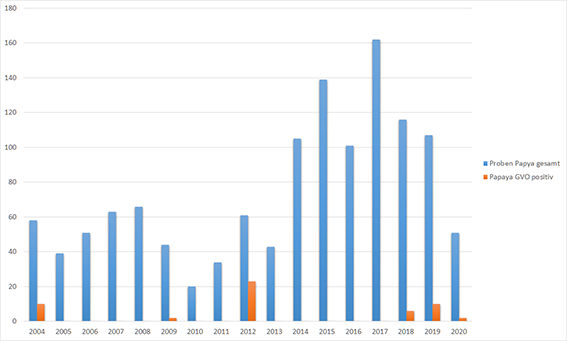 Die Tabelle zeigt die Ergebnisse der Untersuchung von Papaya auf gentechnische Veränderung in Bayern in den Jahren 2004 bis 2017. In den Jahren 2004 (17 %), 2009 (5 %), 2012 (38 %) und 2018 (5 %) wurden gentechnisch veränderte Papayafrüchte beziehungsweise Kochpapaya nachgewiesen. In den übrigen Jahren gab es keine positiven Befunde.