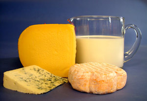 verschiedene Käsesorten und ein Glas Milch
