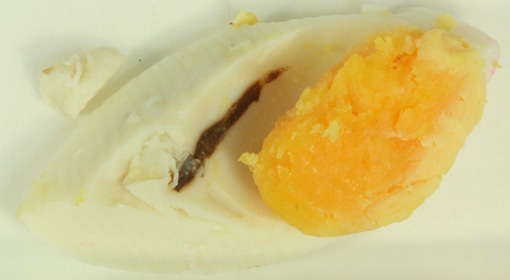 hartgekochtes Ei, aufgeschnitten mit sichtbarem Fremdkörper