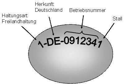 Die Abbildung zeigt schematisch ein Ei mit dem Stempelaufdruck 1-DE-0912341. Mit Hilfe von Pfeilen wird in der Abbildung erläutert, dass die erste Ziffer „1“ für die Haltungsart Freilandhaltung, die Buchstabenkombination „DE“ für das Herkunftsland Deutschland, die folgenden sechs Ziffern für die Betriebsnummer und die letzte Ziffer für den Stall stehen.