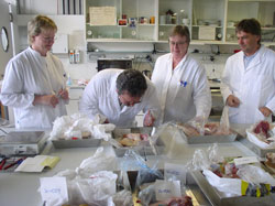 Prüfung des Geruchs