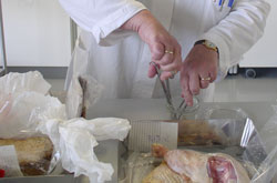 Zerkleinerung der Probe