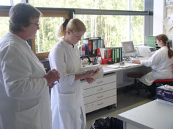 Dokumentation des Ergebnisses