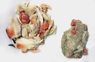 Das Foto zeigt auf der einen Seite eines Tellers weiches, musiges bräunliches Krabbenfleisch und auf der anderen Seite des Tellers Stücke von festem weißem, teilweise rötlichem Krabbenfleisch.