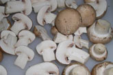 Champignon verzehrsfähig