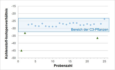 Diagramm der Kohlenstoff-Isotopenverhältnisse von deutschen Erdbeeren.