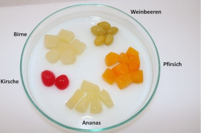 Die Abbildung zeigt eine Glasschale mit einem 5-Frucht-Cocktail, bestehend aus den Fruchtarten Birne, Pfirsich, Weinbeere, Ananas und Kirsche. Die verschiedenen Fruchtarten sind sortiert, so dass mehrere Früchte der gleichen Art zusammenliegen. Jeweils neben der Fruchtart steht der Name der Fruchtart.