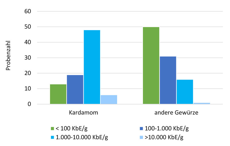 Die Abbildung 1 zeigt die Probenzahlen von Kardamom und anderen Gewürzen mit unterschiedlich hohen Gehalten an Bakterien der B. cereus-Gruppe. In Kadamom haben 13 Proben einen Gehalt <100 Koloniebildenden Einheiten pro Gramm, 19 Proben liegen zwischen 100 und 1000, 48 Proben zwischen 1000 und 10.000 und 6 Proben über 10.000 Koloniebildenden Einheiten pro Gramm. Bei den anderen Gewürzen liegen 50 Proben unter 100 Koloniebildenden Einheiten pro Gramm, 31 Proben zwischen 100 und 1000, 16 Proben zwischen 1000 und 10.000 und 1 Proben über 10.000 Koloniebildenden Einheiten pro Gramm.
