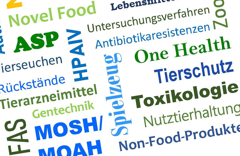 Wortwolke: Novel Food, ASP, Antibiotikaresistenzen, One Health, Gentechnik, Tierschutz usw.